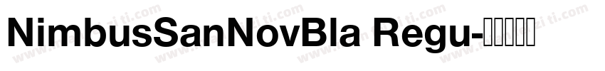 NimbusSanNovBla Regu字体转换